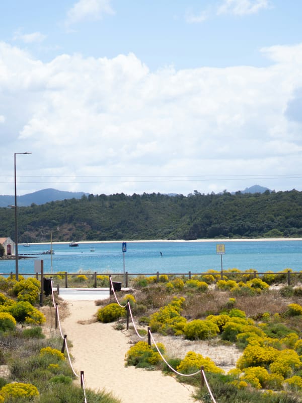 Fisherman's Trail beach path with spring wildflowers at São Torpes Alentejo