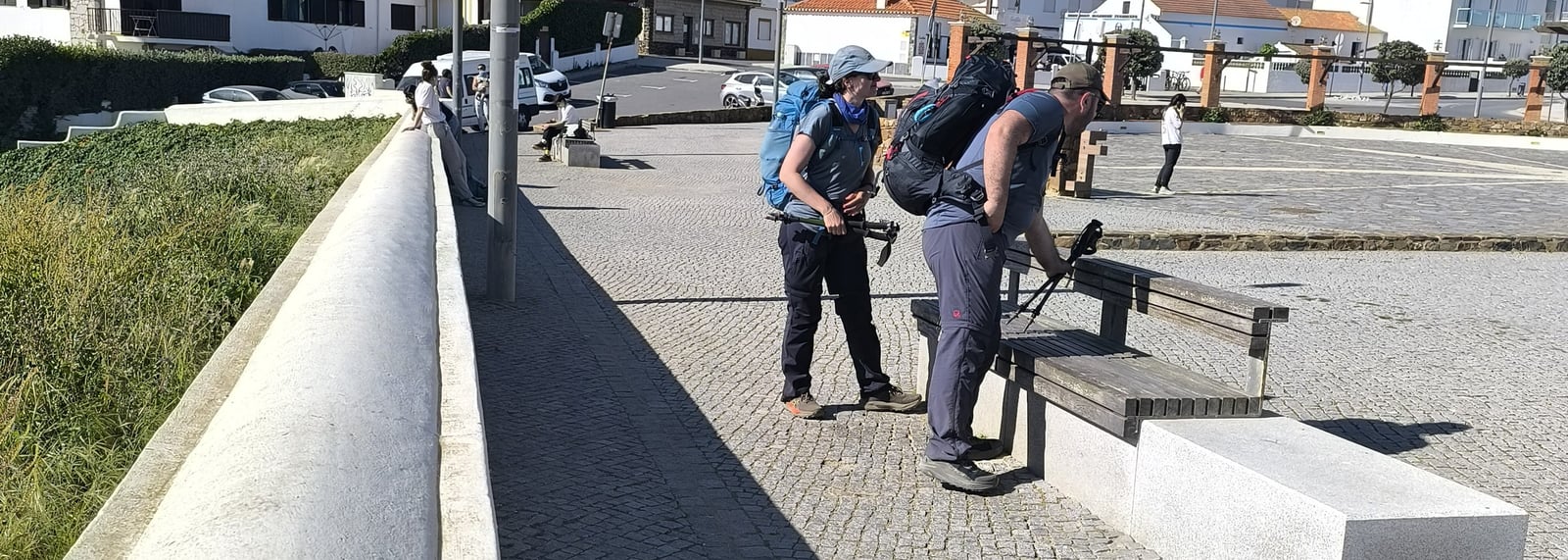 Trekking Pole Rental