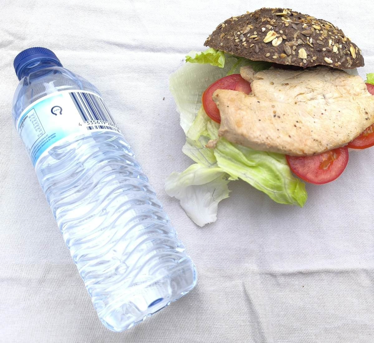 Traking Transfers Chicken Sandwich: grilled chicken, lettuce and tomato on dark seeded bread